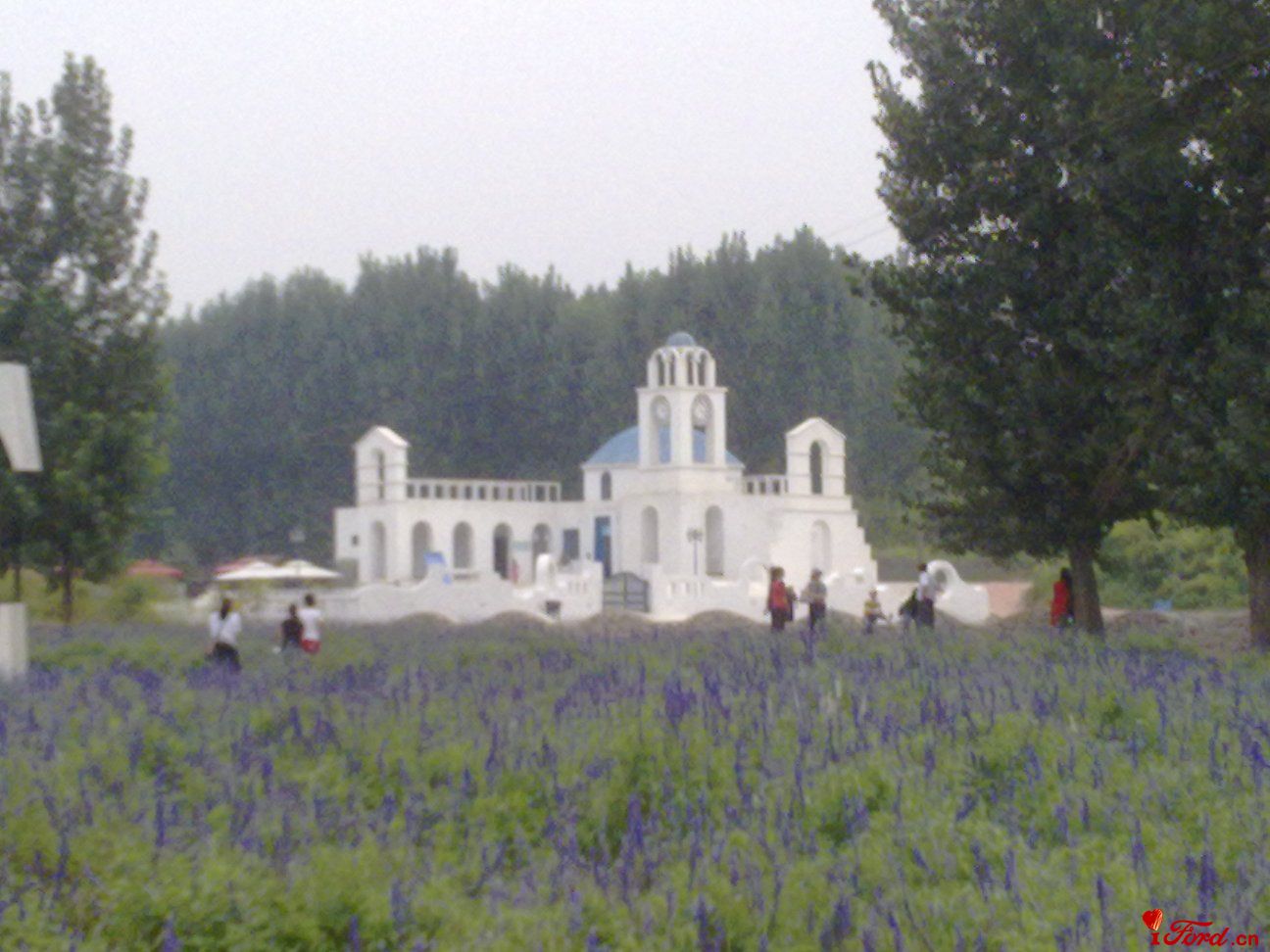 20110827321.jpg