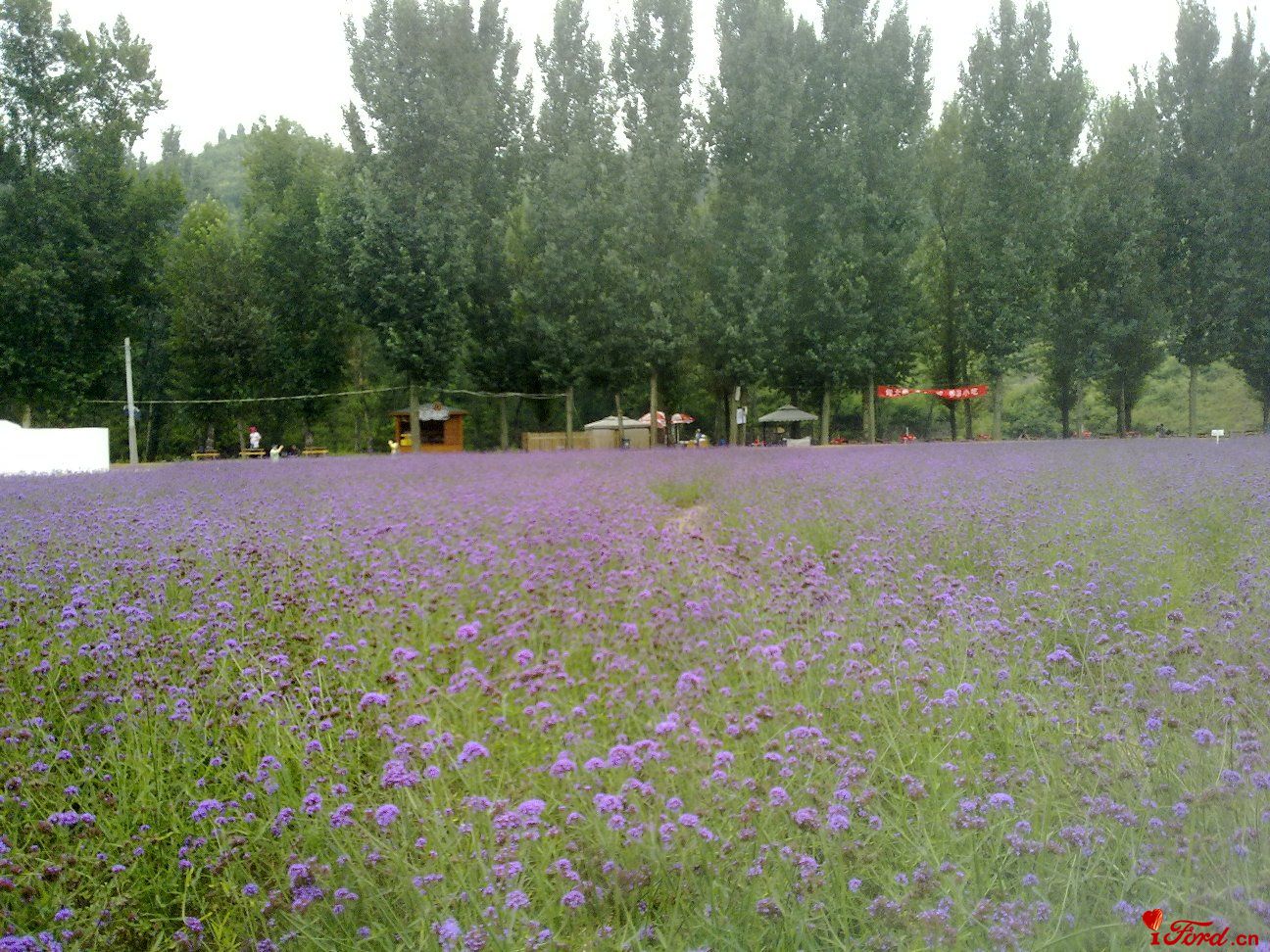 20110827326.jpg