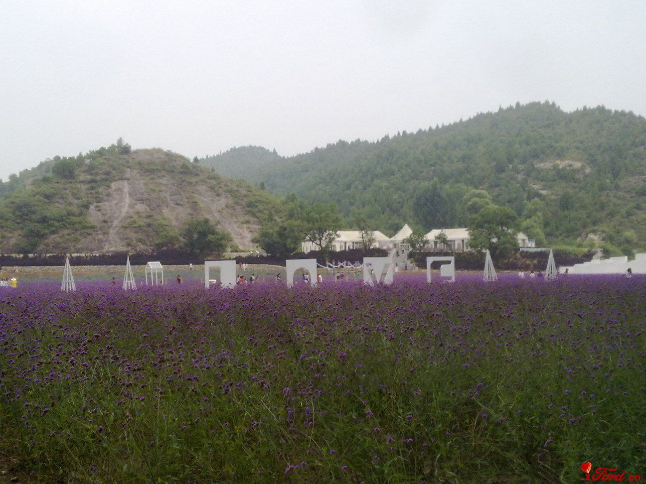 20110827332.jpg