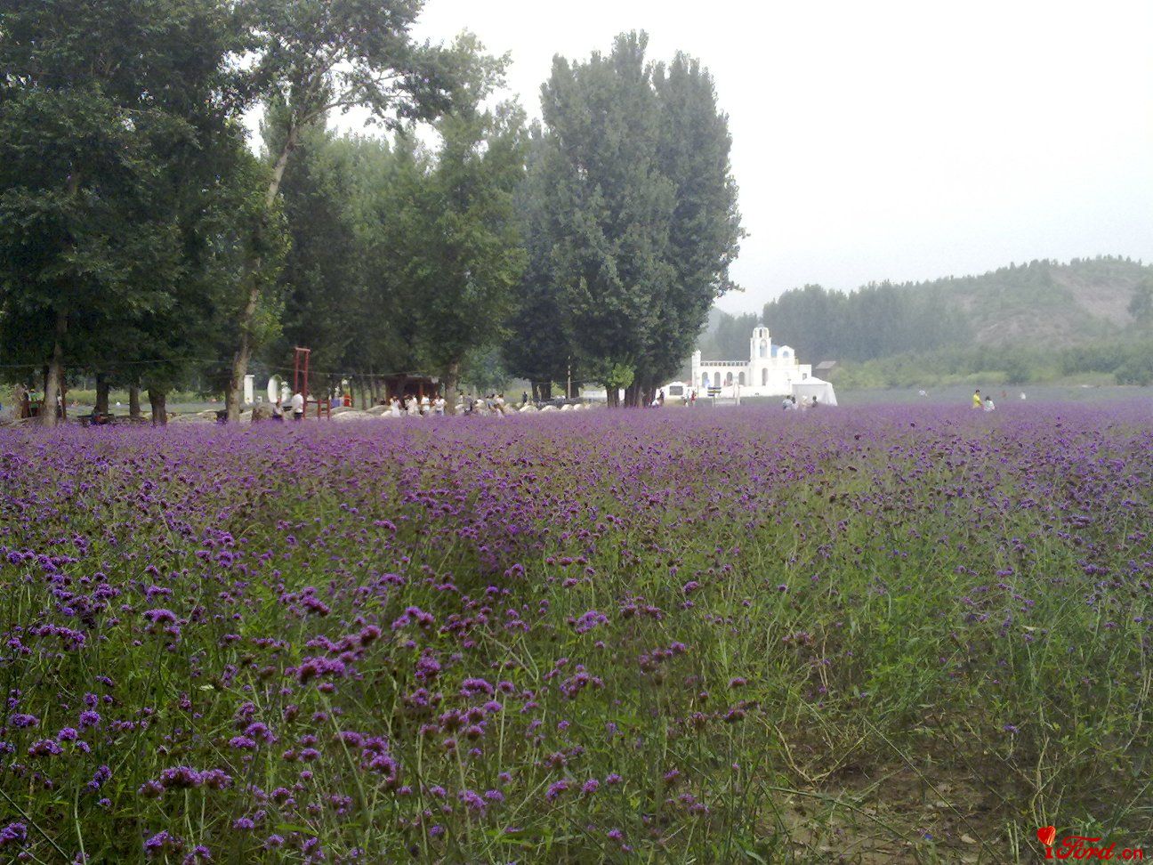 20110827334.jpg